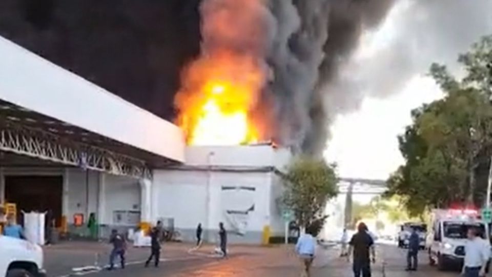 Los bomberos tratan de apagar el fuego en la zona