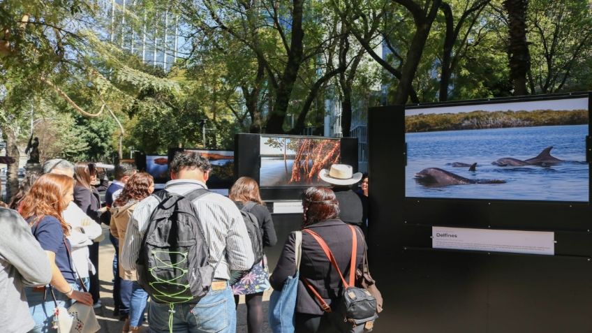 Sedema anuncia actividades de "Animalística.Festival" del Bosque durante Semana Santa