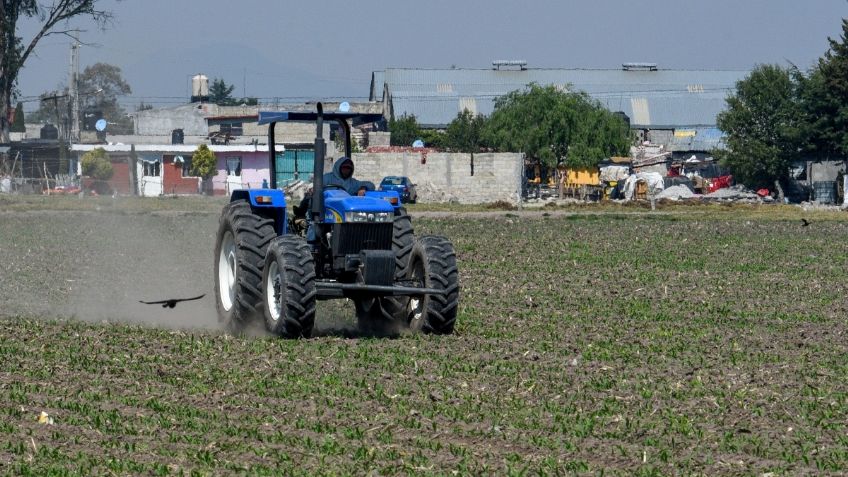 Precandidatas a la presidencia han escuchado al sector del campo