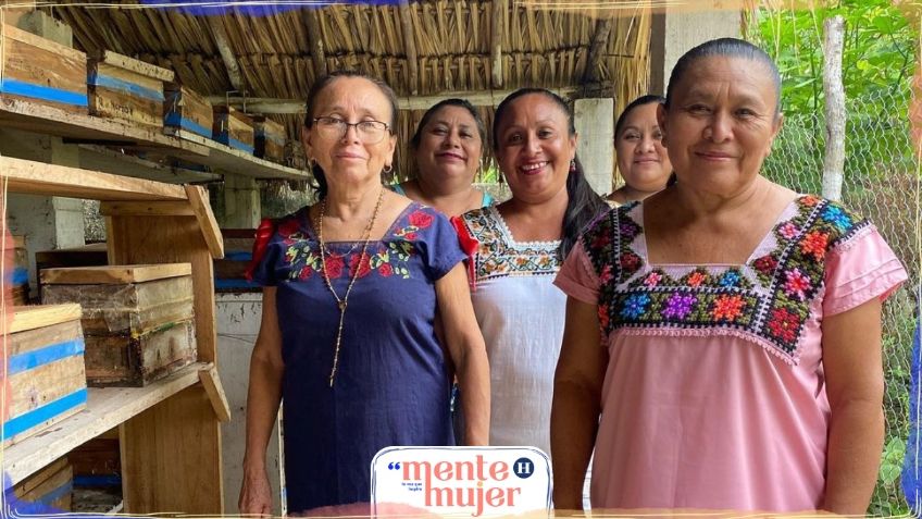 Mujeres mayas rescatan a la abeja melipona