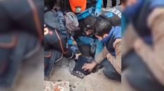 VIDEO | Turquía: el dramático rescate de una niña debajo de los escombros tras el poderoso terremoto