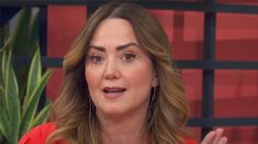 "Me preguntan por fregar" Andrea Legarreta se sincera sobre nueva etapa al lado de su ex Erik Rubín