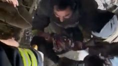 VIDEO: el estremecedor rescate de un niño turco atrapado entre los escombros tras los terremotos