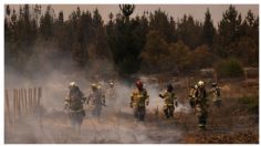 Declaran "Alerta Roja" en Chile por propagación de incendios forestales