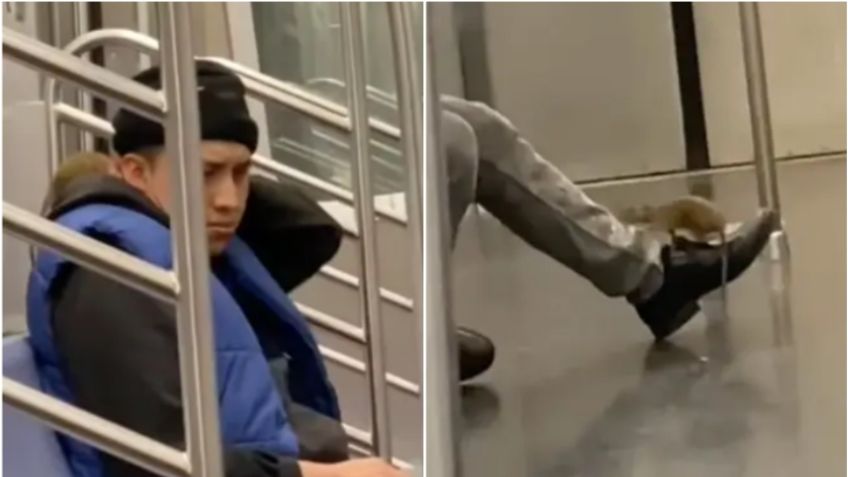 VIDEO de terror: rata enorme se sube a pasajero que iba dormido en el Metro