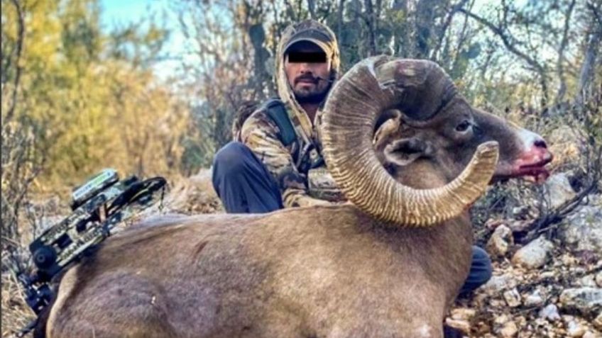 Detienen a un cazador que mató a un borrego cimarrón en Sonora y lo presumió en redes