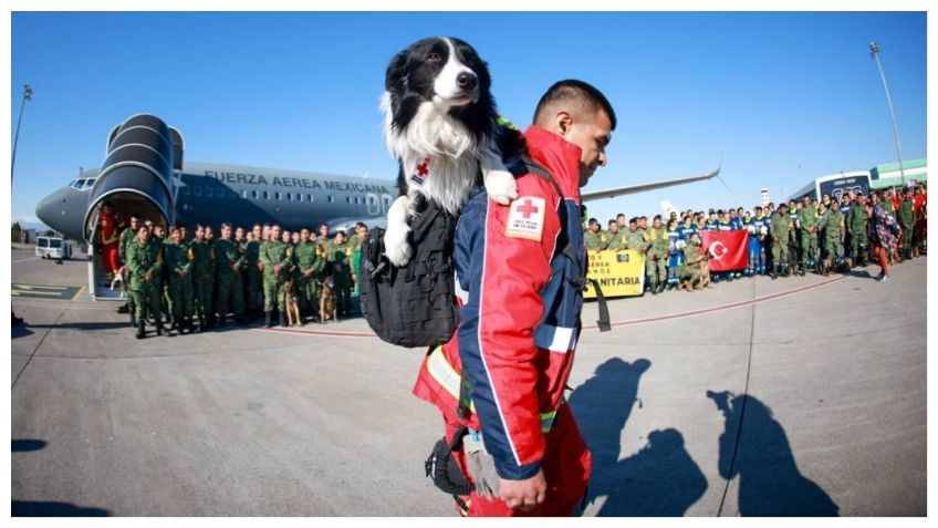 Mexicanos se suman a rescate de víctimas del terremoto en Turquía