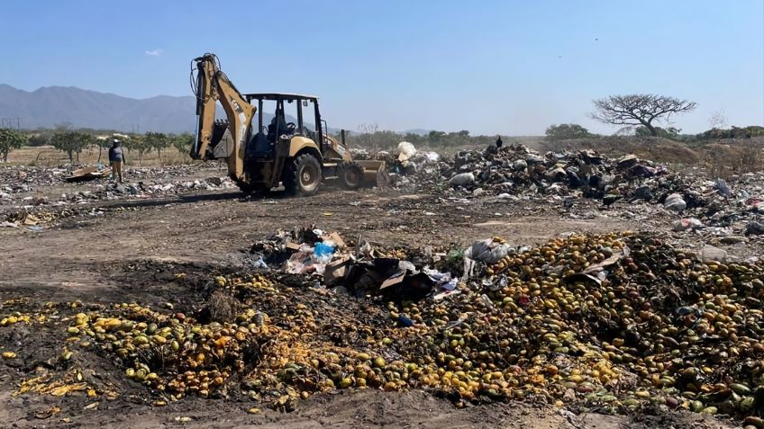 Heladas y vientos dañan cultivos en todo el país, reportan temperaturas por debajo de los 14 grados