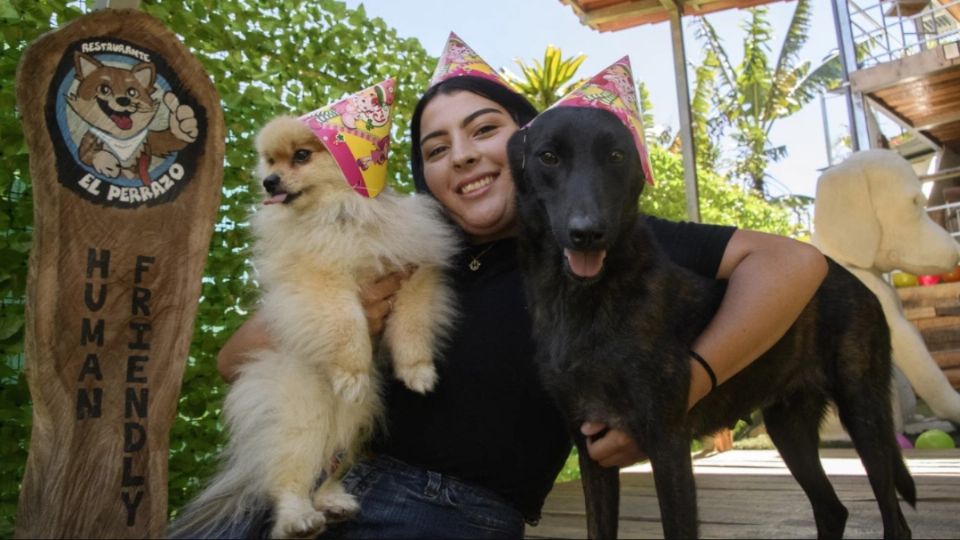 En este restaurante, los perros son los invitados de honor.