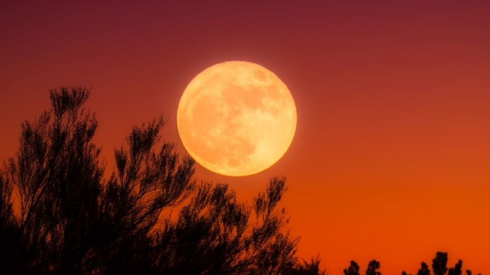 La energía de la Luna se siente con fuerza esta semana.