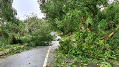 VIDEO | El ciclón Judy azota con fuerza las costas de Vanuatu, en Oceanía