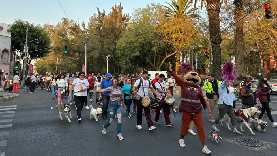 El programa de Ponte Pila mantiene las caminatas perrunas en las 16 alcaldías