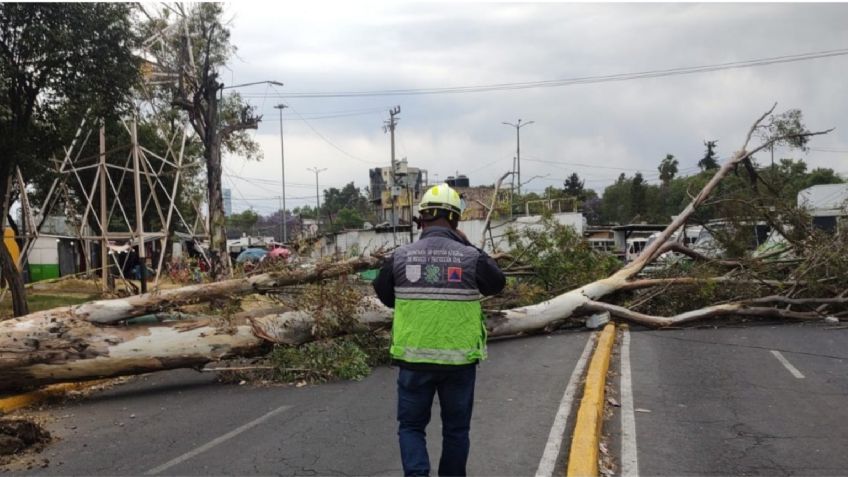 Caos en la CDMX: fuertes rachas de viento provocan derrumbes, destrozos y heridos