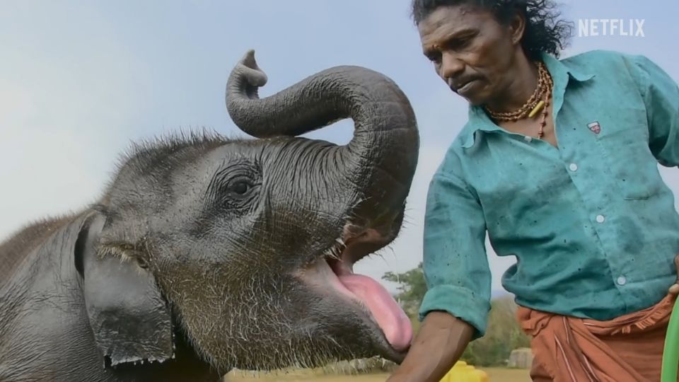 'The Elephant Whisperers' triunfó en la premiación.