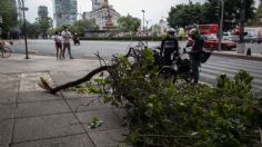 Fuertes vientos, lluvia y granizo en CDMX: activan alerta por posible caída de árboles en 16 alcaldías