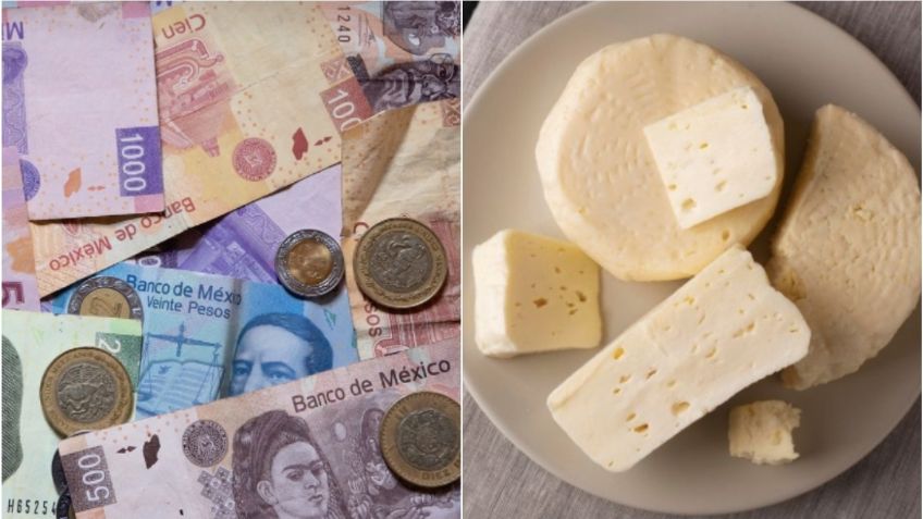 Queso panela: 3 marcas finas que no son caras y saben rico