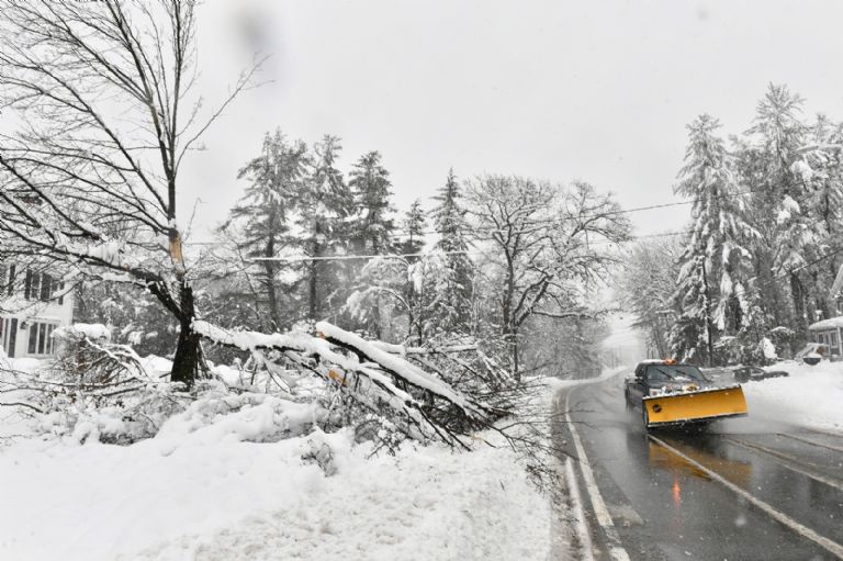 nevadas