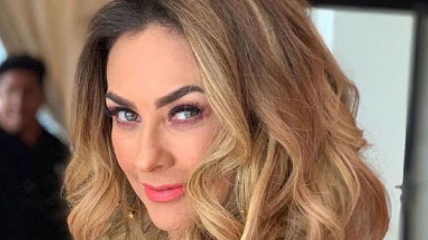 Desde la alberca, Aracely Arámbula enamoró a todos en traje de baño