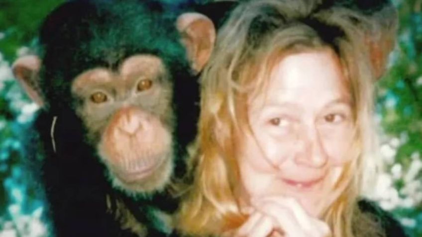 "¡Mi chimpancé se come a mi amiga!": Charla Nash fue atacada por la mascota y le arrancó las manos y la cara