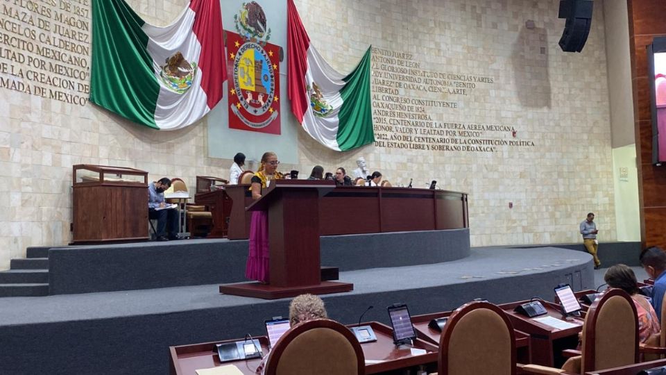 La legisladora solicitó a la Conavim, frenar las violencias contra las mujeres