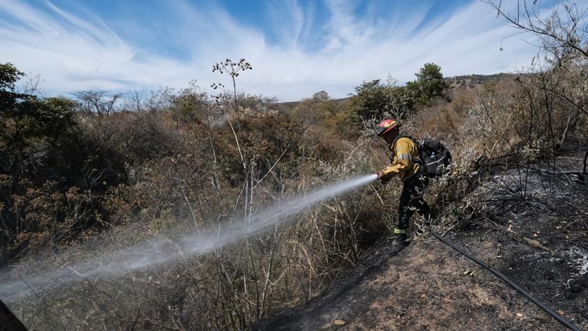 Los incendios forestales tardan 30 años en recuperar el daño al terreno