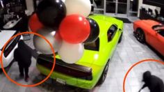 VIDEO | Robo de película: ladrones se llevan 6 autos de lujo en menos de un minuto