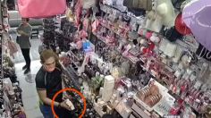 VIDEO | Fingieron ser clientes: ladrones entran a tienda y roban cosméticos