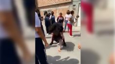 VIDEO | Incitadas por sus madres, dos adolescentes se pelean afuera de secundaria