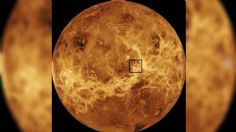 El misterioso hallazgo de la NASA en Venus que ha ido aumentando de tamaño