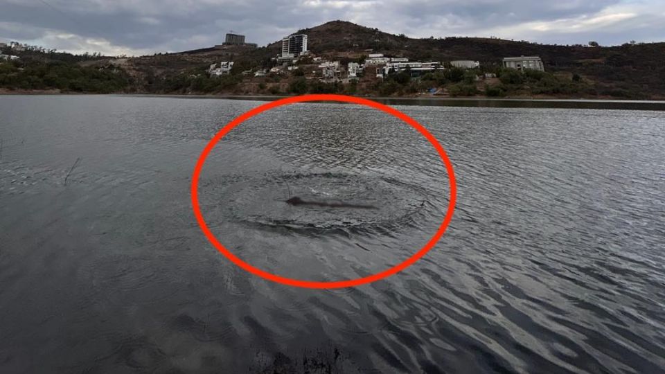 La fotografía fue compartida por el gobierno del municipio.