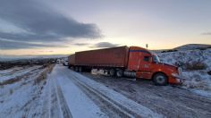 Frente Frío 37: Sonora se tiñe de blanco por la caída de nieve