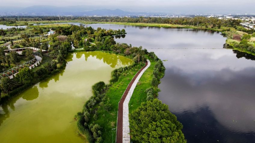 Destaca Claudia Sheinbaum construcción de 26.2 hectáreas de humedales en CDMX