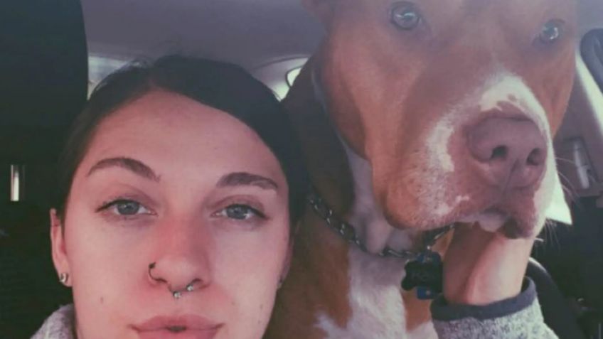 Un perro pitbull muerde a una mujer y le destroza la nariz: ahora le crece pelo en la cara