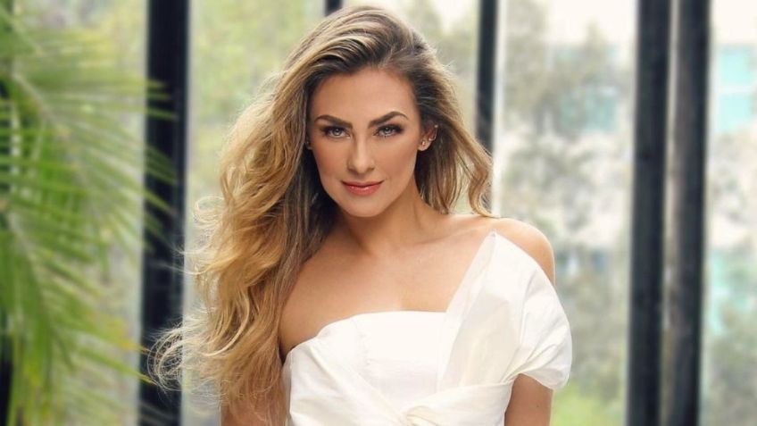 Aracely Arámbula: esta es la millonaria pensión que podría exigirle a Luis Miguel para sus hijos