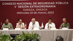 México destinará mil millones de pesos para fortalecer la seguridad: se capacitará a la policía municipal y estatal