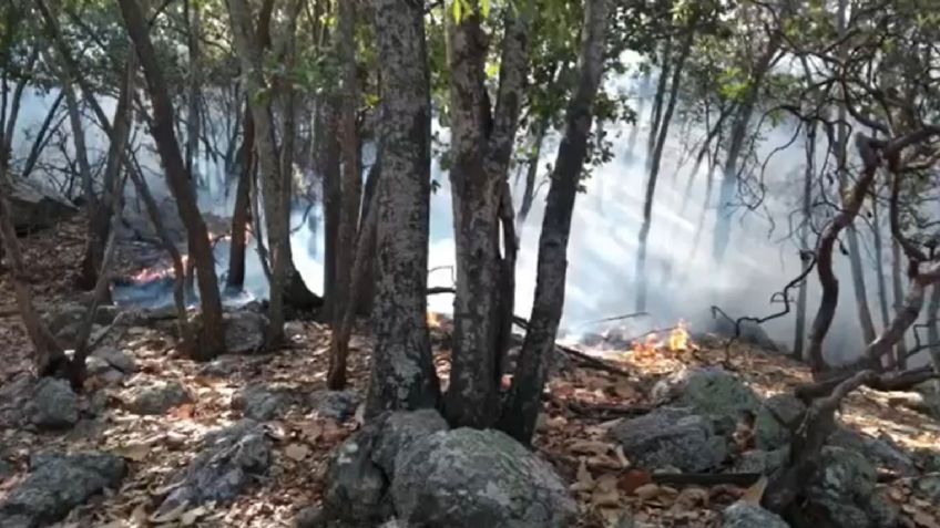 Abril y mayo meses en los que se prevé mayor número de incendios de pasto seco y forestales