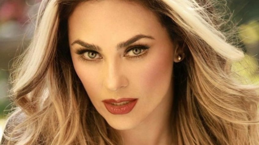 Aracely Arámbula encendió la red carpet con profundo escote y transparencias