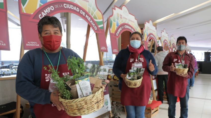 Sedema beneficia a más de 8 mil productores rurales con estrategias de comercialización