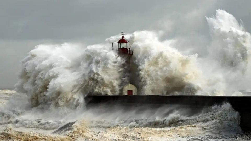 Su objetivo es “provocar un tsunami radioactivo a gran escala”.