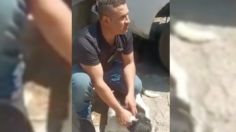 VIDEO | ¡Cuida a tu lomito! Estos hombres armados secuestran perros en la CDMX para presuntas peleas clandestinas