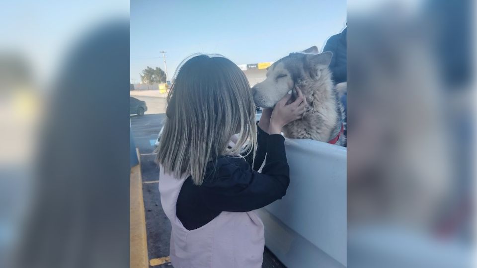 Los dueños del perrito se reunieron con él a las pocas horas.