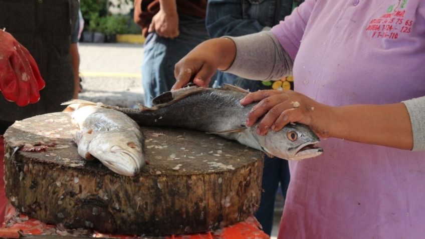 Tlalpan arranca venta de productos "Del Mar a tu Colonia"