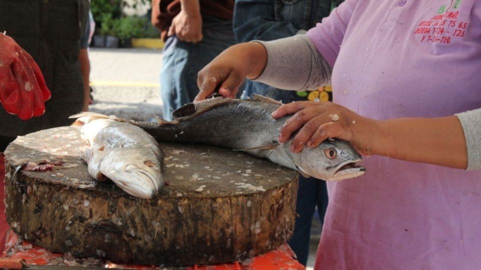 Del 27 al 31 de marzo se visitarán colonias donde se ofrecerán pescados y mariscos a bajo costo para apoyar la economía local