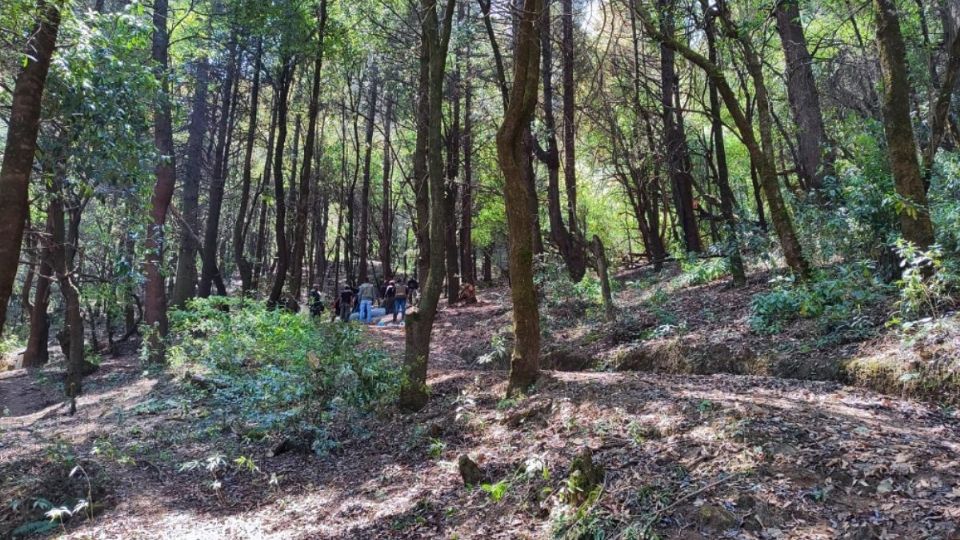 El Suelo de Conservación es una zona protegida por el gobierno de la CDMX