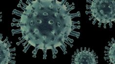 Alerta por extraño virus, ahora en África: suman tres muertes por fuertes síntomas y hemorragias nasales