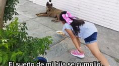 VIDEO | Niña enternece las redes al repartir comida a decenas de perritos callejeros: "Era su sueño"