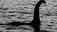 Hombre graba al "monstruo del lago Ness" y VIDEO enloquece las redes