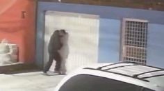 VIDEO: dos ladrones planeaban robar una casa en Tlalpan, pero huyeron tras ser descubiertos