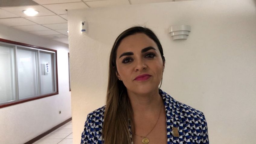 Diputada Ana Gómez interpondrá denuncia a Espartaco Álvarez por violencia política de género