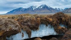 Científicos revivieron un virus "zombi" del Permafrost de Siberia: pasó más de 48 mil años congelado